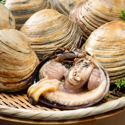 愛知県三河湾産の秀品天然大あさり 8切入(1kg)【CAS冷凍/下処理済】訳あり