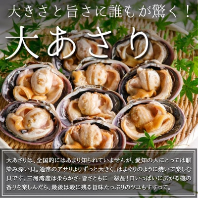 秀品海鮮バーベキューセット約1.4kg(大あさり、赤エビ、イカ)CAS冷凍・下処理済み・BBQ用
