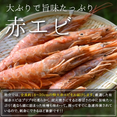 秀品海鮮バーベキューセット約1.4kg(大あさり、赤エビ、イカ)CAS冷凍・下処理済み・BBQ用