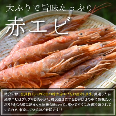 大あさり、赤エビ、ホタテ、カキの海鮮バーベキューセット約2kg(CAS冷凍BBQ)