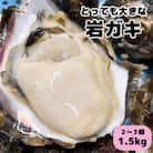 XXLサイズ!天然岩牡蠣/特上1.5kg(2～3コ/殻付き生食用)CAS冷凍カキ 海鮮バーベキューに