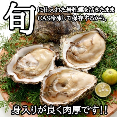XXLサイズ!天然岩牡蠣/特上1.5kg(2～3コ/殻付き生食用)CAS冷凍カキ 海鮮バーベキューに
