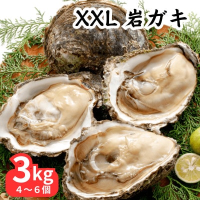 XXLサイズ!天然岩牡蠣3kg(4～6個・特上・殻付き生食用)CAS冷凍カキ 海鮮バーベキューに!