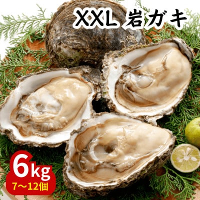 XXLサイズ!天然岩牡蠣6kg(7～12個・特上殻付き生食用)CAS冷凍カキ 海鮮バーベキューに!