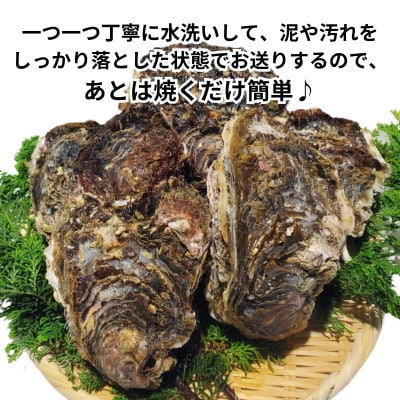 XXLサイズ!天然岩牡蠣6kg(7～12個・特上殻付き生食用)CAS冷凍カキ 海鮮バーベキューに!