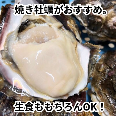 XXLサイズ!天然岩牡蠣6kg(7～12個・特上殻付き生食用)CAS冷凍カキ 海鮮バーベキューに!