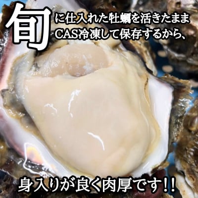 篠島2種の天然殻付きカキ1kg(岩牡蠣&真牡蠣)食べ比べセット 生食用/CAS冷凍　海鮮BBQに
