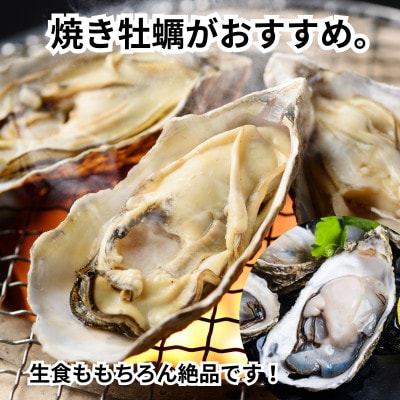 篠島2種の天然殻付きカキ1kg(岩牡蠣&真牡蠣)食べ比べセット 生食用/CAS冷凍　海鮮BBQに