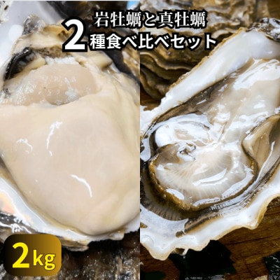 篠島の2種の天然殻付きカキ2kg(岩牡蠣&真牡蠣)食べ比べセット 生食用/CAS冷凍　海鮮BBQに!