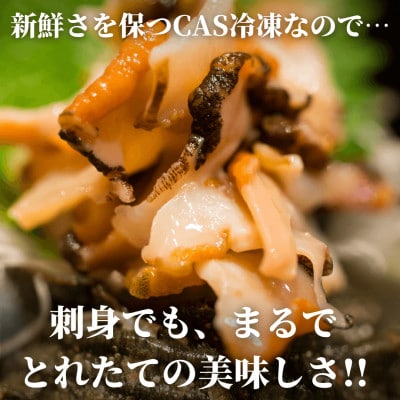 天然 姫サザエ1kg(15〜20個・三河湾産)身が柔らかい!旨味ギュッ&CAS冷凍で鮮度抜群!訳あり
