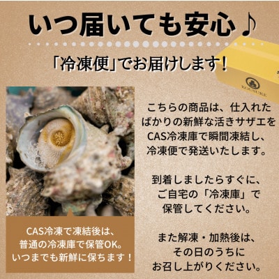 天然 姫サザエ1kg(15〜20個・三河湾産)身が柔らかい!旨味ギュッ&CAS冷凍で鮮度抜群!訳あり