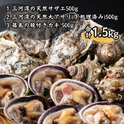 三河湾の貝づくし3種・海鮮BBQセット1.5kg(バーベキュー用:大アサリ、サザエ、殻付き牡蠣)