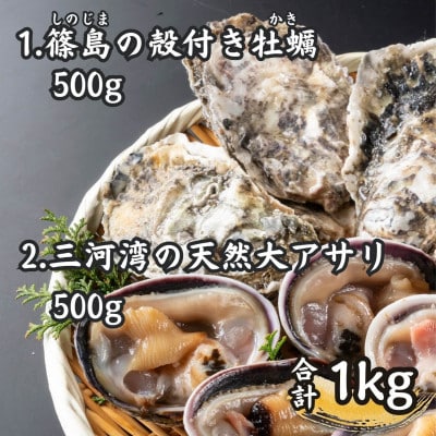 三河湾の貝づくし2種・海鮮BBQセット1kg(バーベキュー用:天然大アサリ、篠島の殻付きカキ)