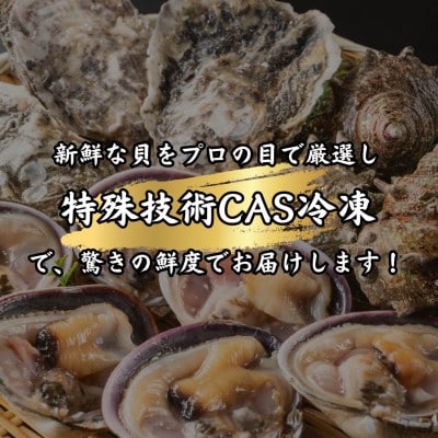 三河湾の貝づくし2種・海鮮BBQセット1kg(バーベキュー用:天然大アサリ、篠島の殻付きカキ)