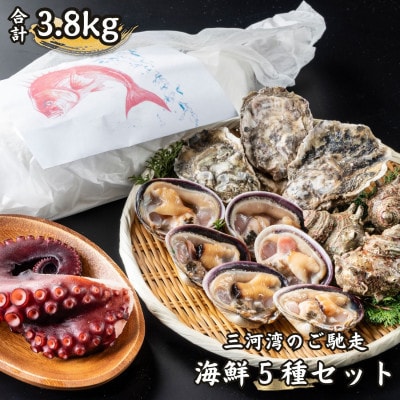 三河湾のご馳走・海鮮5種セット(鯛の塩釜、殻付き牡蠣、大アサリ、サザエ、日間賀島の茹で蛸)CAS冷凍