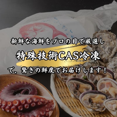 三河湾のご馳走・海鮮5種セット(鯛の塩釜、殻付き牡蠣、大アサリ、サザエ、日間賀島の茹で蛸)CAS冷凍