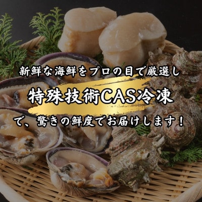 三河湾の海鮮3種セット約1.2kg(大アサリ、サザエ、平貝の貝柱)【CAS冷凍】訳あり・サイズ不揃い