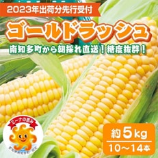 【朝採れ直送】スイートコーン 南知多産とうもろこし10～14本「ミーナコーン」「ミーナの恵み」認定品