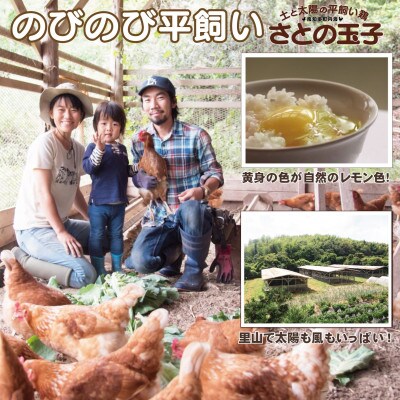 【南知多産】旬の季節野菜セット(8～10品目)&平飼い玉子10個