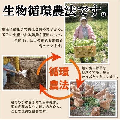 【南知多産】旬の季節野菜セット(8～10品目)&平飼い玉子10個