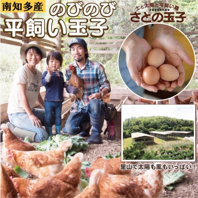 【南知多産】とりのさと農園の平飼い玉子30個