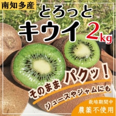 【期間限定】とろっとキウイ 2kg サイズ混合【栽培期間中農薬不使用】