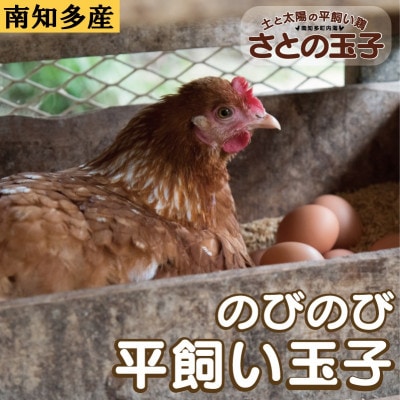 とりのさと農園の平飼い玉子60個【南知多産】
