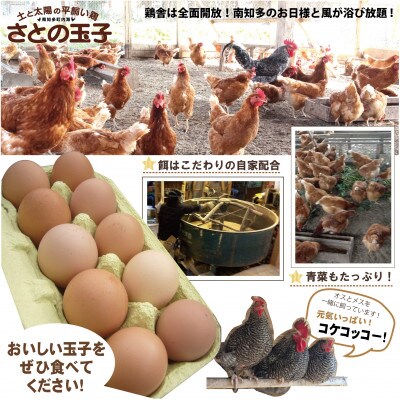 とりのさと農園の平飼い玉子60個【南知多産】