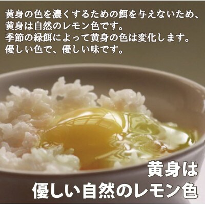 とりのさと農園の平飼い玉子60個【南知多産】