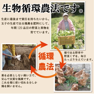 とりのさと農園の平飼い玉子60個【南知多産】