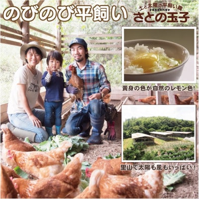 旬の季節野菜セット(10～12品目)&平飼い玉子10個