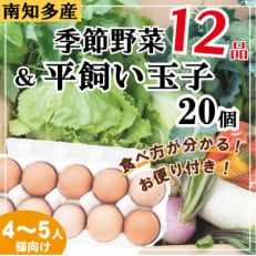 旬の季節野菜ボリュームセット(12品目)&amp;平飼い玉子20個