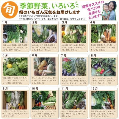 旬の季節野菜ボリュームセット(12品目)&平飼い玉子20個