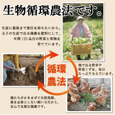 旬の季節野菜ボリュームセット(12品目)&平飼い玉子20個