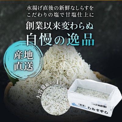 「太陽のしらす干し」 訳あり しらす干し 1kg(1,000gx1) 愛知県産