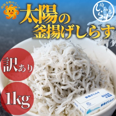 訳あり 釜揚げしらす 1kg(箱入り)こだわりの塩で減塩・甘塩仕上げ 少し大きめのシラス | ふるさと納税のお礼品