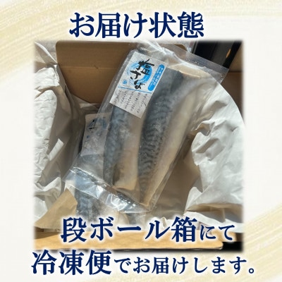 塩さばフィレ 12枚(2枚×6袋)小分けで便利だからお弁当のおかずに!冷凍便でお届けします!
