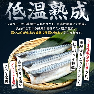 訳あり 塩さばフィレ 約3kg(30枚前後入り)  冷凍便にてお届け!おかずにぴったり!