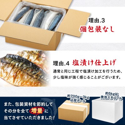 訳あり 塩さばフィレ 約3kg(30枚前後入り)  冷凍便にてお届け!おかずにぴったり!