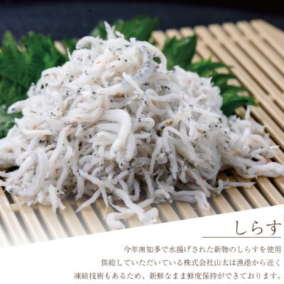 南知多で水揚げされた新物しらすと菜の花オイルのペペロンチーノ