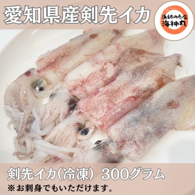 愛知県産　剣先イカ(アカイカ)2袋