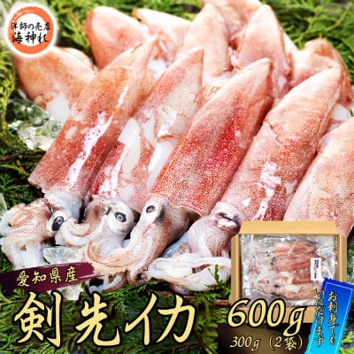 愛知県産　剣先イカ(アカイカ)2袋