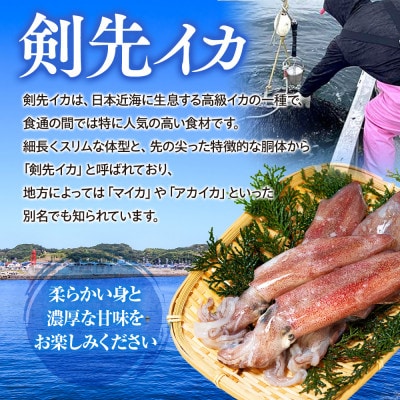 愛知県産　剣先イカ(アカイカ)2袋