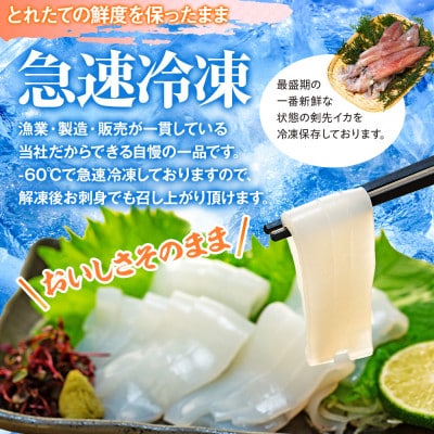 愛知県産　剣先イカ(アカイカ)2袋