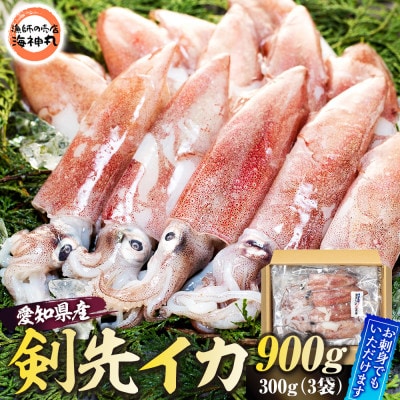 愛知県産　剣先イカ(アカイカ)3袋