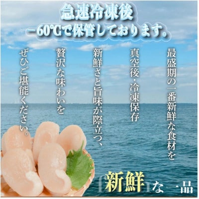 愛知県産　ジャンボ平貝(タイラギ)むき身　3個