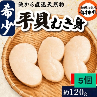 愛知県産　ジャンボ平貝(タイラギ)むき身　5個