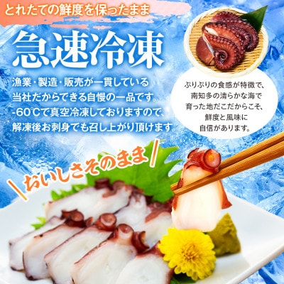 愛知県南知多産地だこボイル 5パック500g 海神丸自家製チョジャン付き