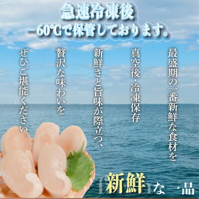 平貝と小柱のセット 平貝15個 小柱2袋