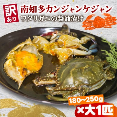 訳あり　カンジャンケジャン　大サイズ(180g～250g)×1匹